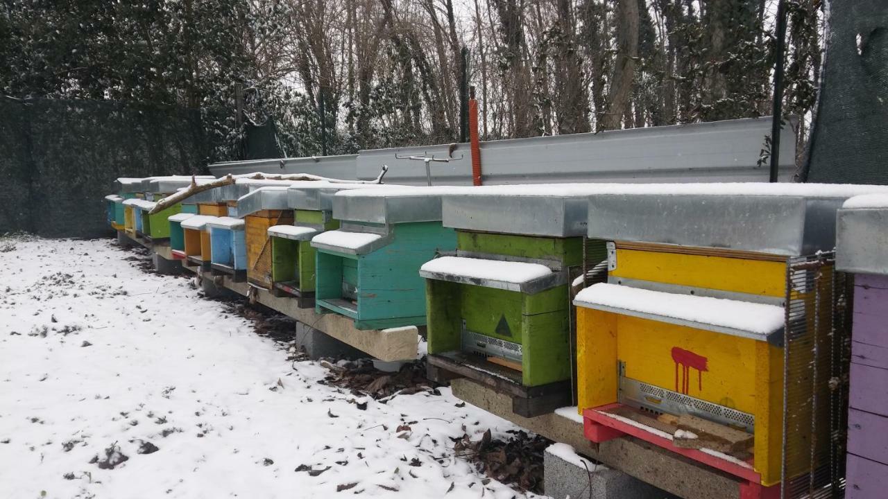 Honey Farm Piazzola sul Brenta